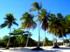 Porto Seguro
