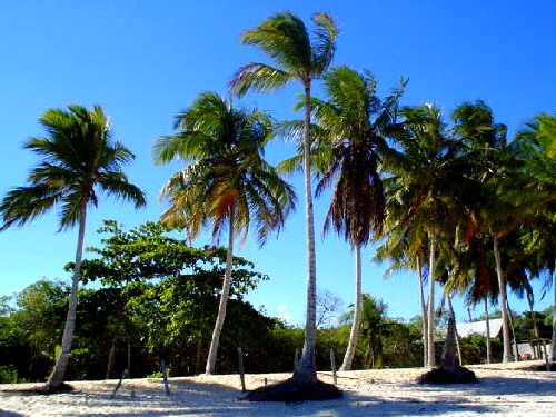 Porto Seguro